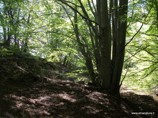 qua Rocca15-05-2022 10-21-40